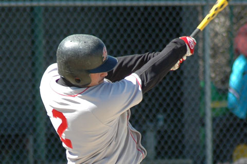 Baseball Loses to La Roche in Season Opener