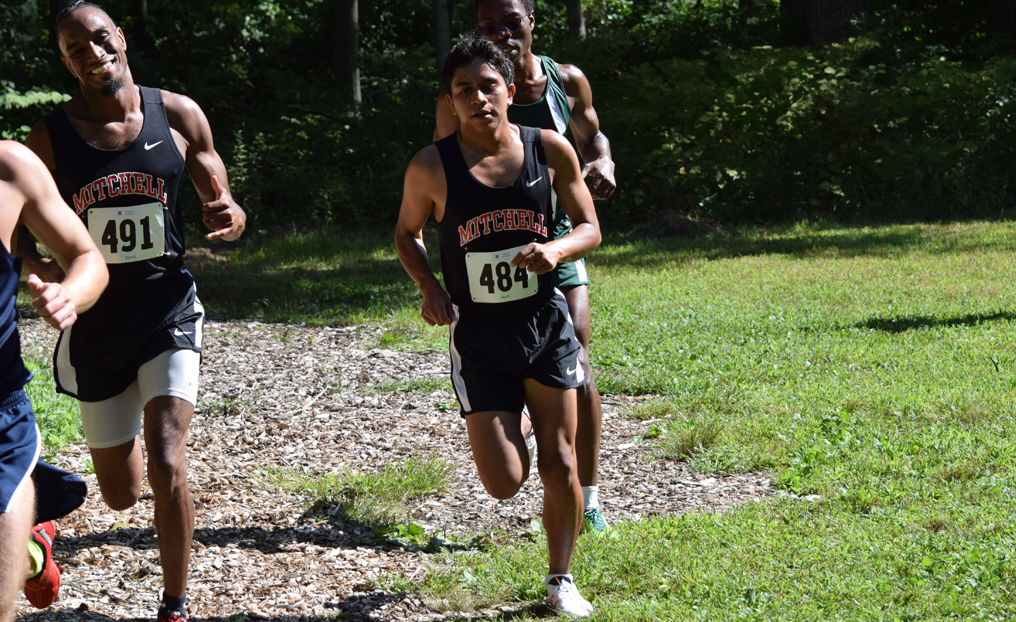 XC's Garceau Earns NECC Rookie of the Week Honors