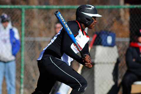Elms Sweeps Softball