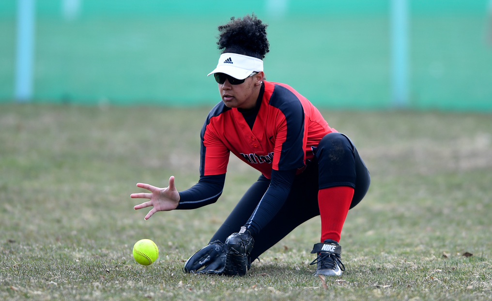 Softball Swept in NECC Opener