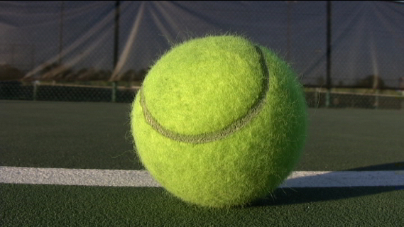 Men's Tennis Falls at Albertus Magnus