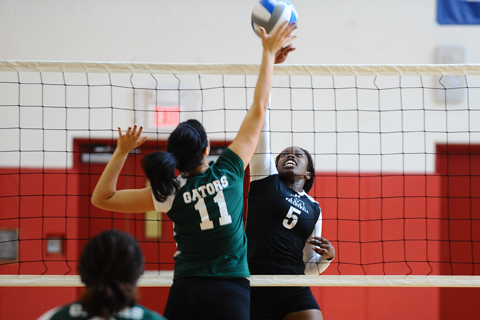Coast Guard Takes Down Volleyball