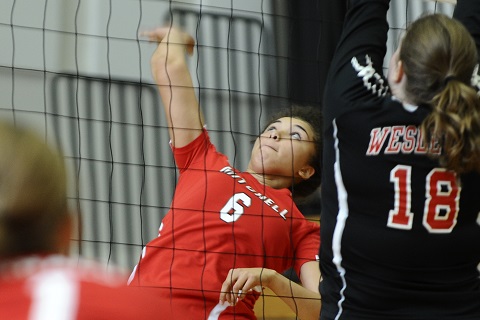 Volleyball Trumps Albertus Magnus in Three Sets