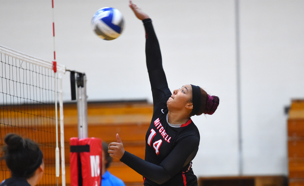 Women's Volleyball Sweeps Albertus Magnus 3-0