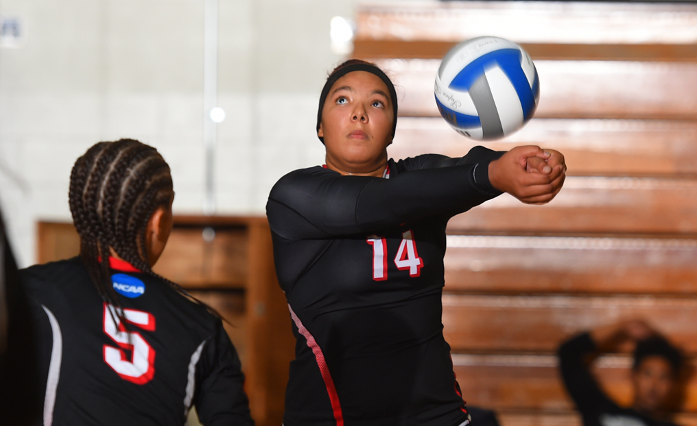 Volleyball Falls to ENC & Pine Manor
