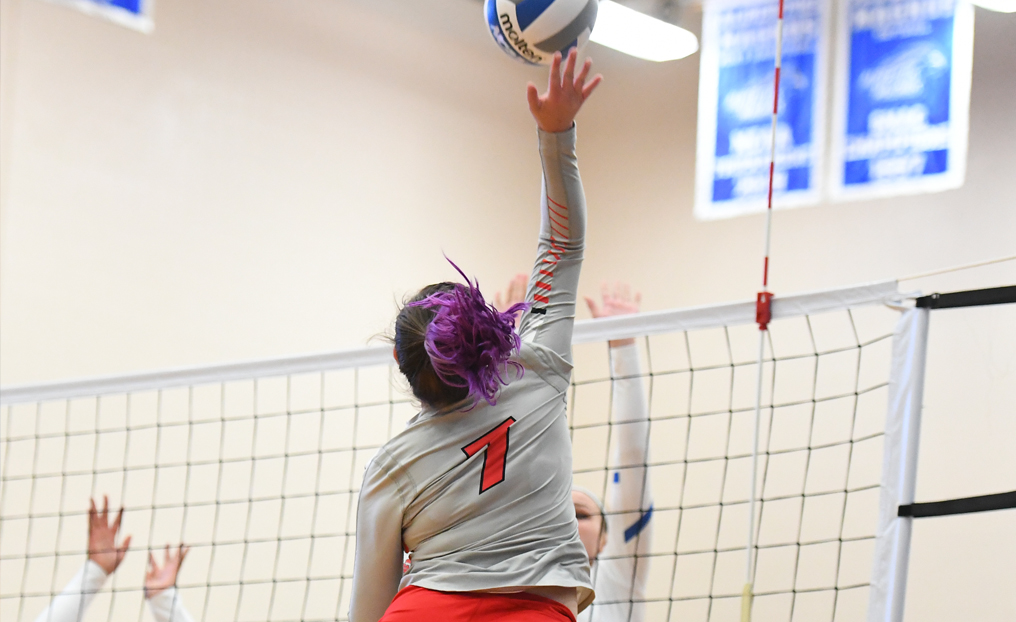 Volleyball Falls 3-0 at Regis