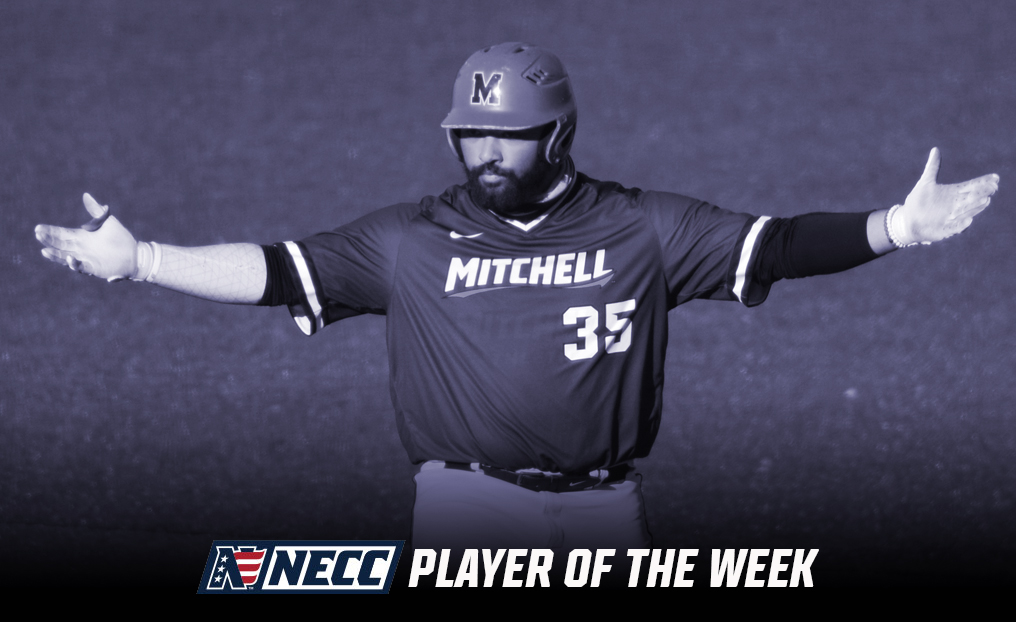 Baseball's Jose Tabbed NECC Player of the Week