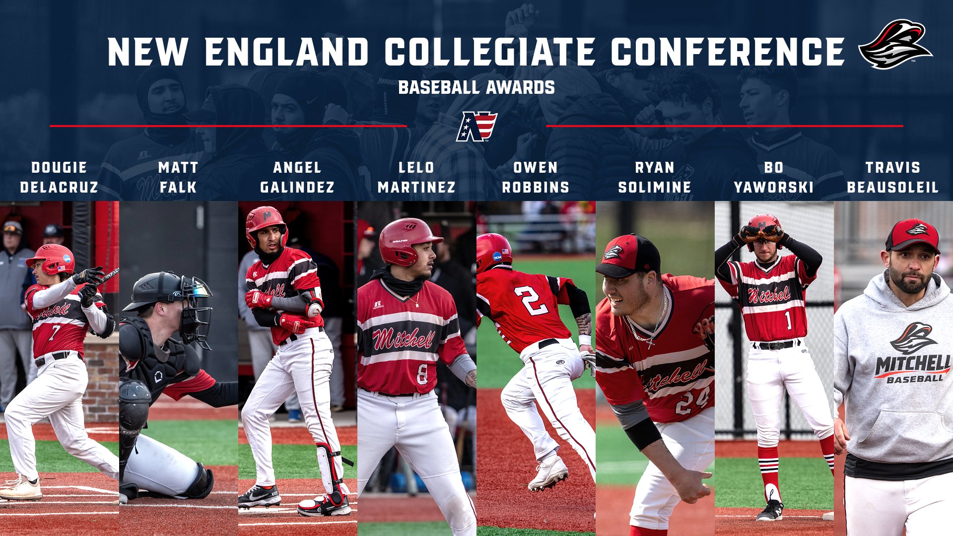 Baseball Nabs Top NECC Honors & Seven All-Conference Spots