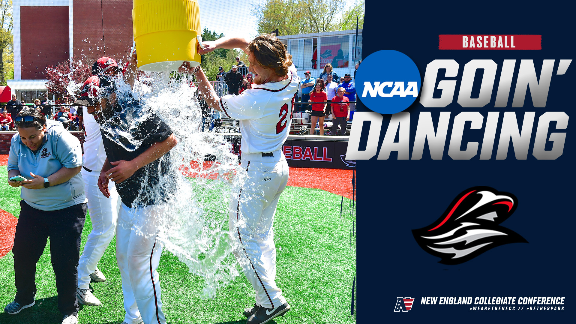 Baseball to Host First Ever NCAA Regional