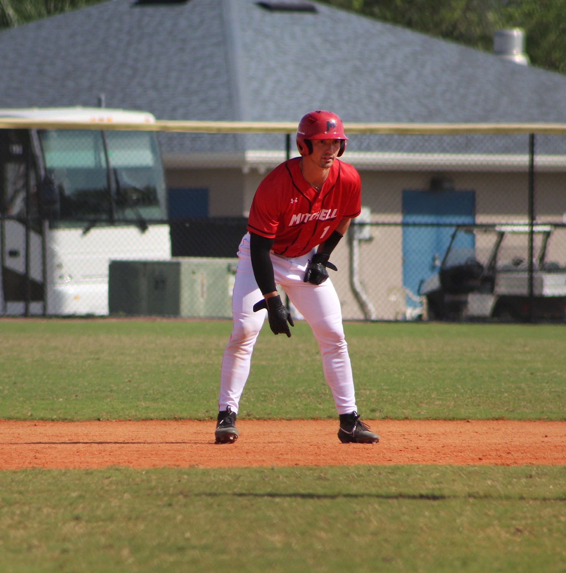 Blue Jays Soar Past Baseball