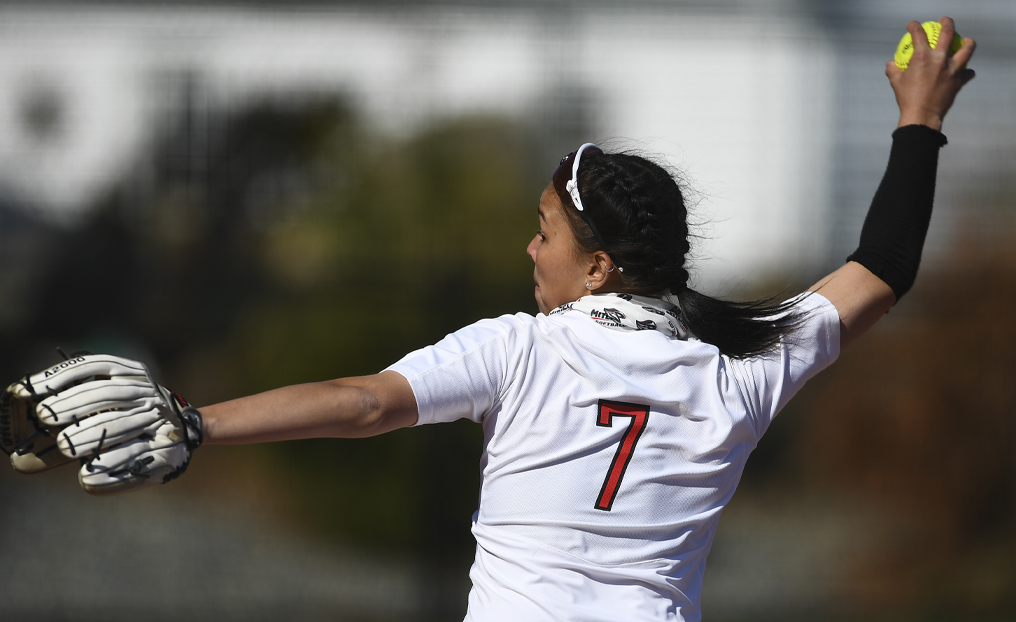 Softball Comes Up Short