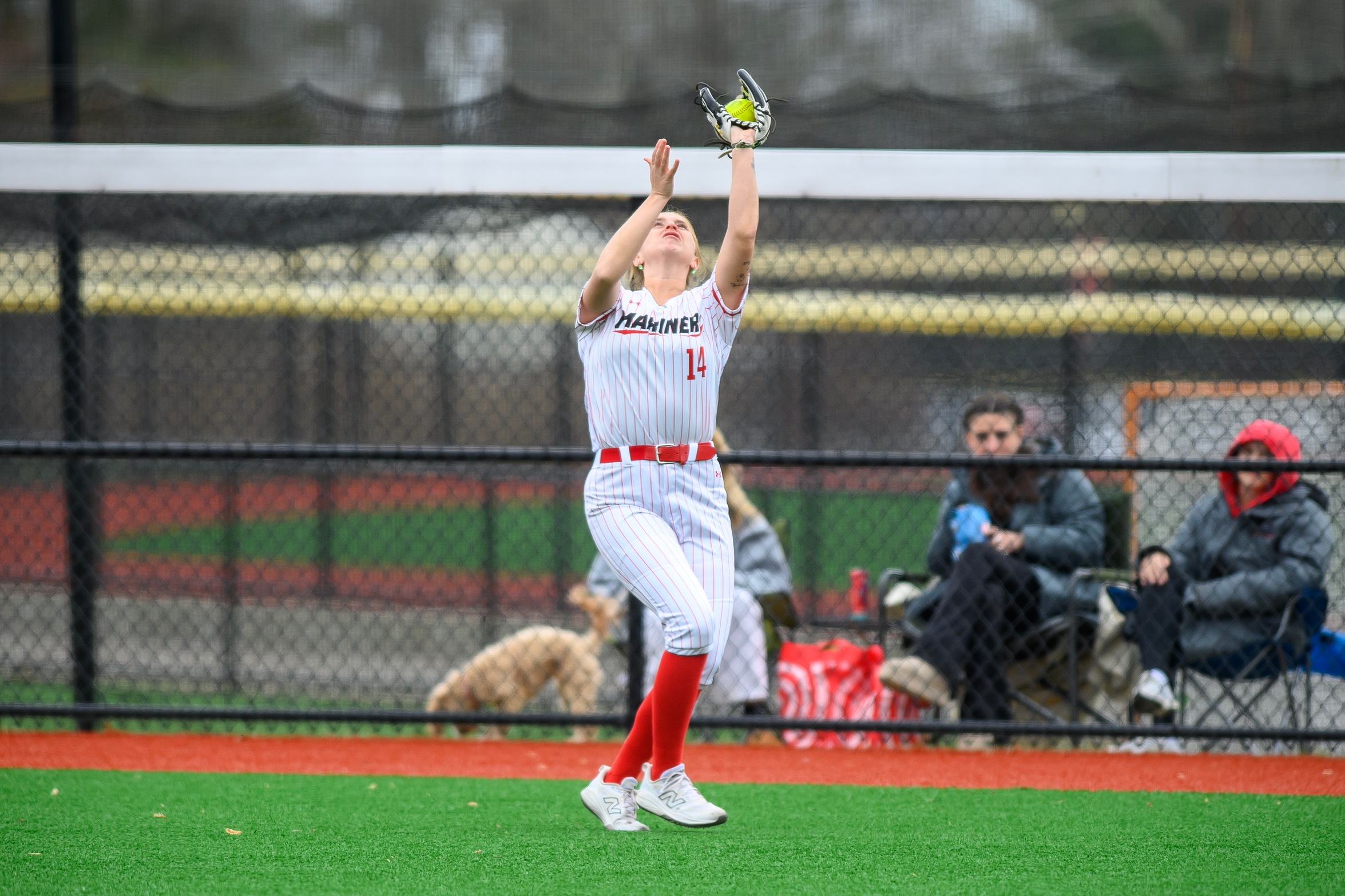 Photo Credit: Steve McLaughlin Photography