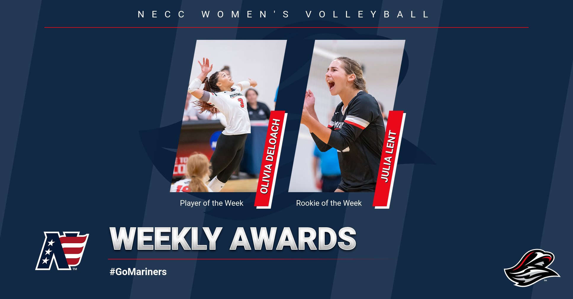 Women's Volleyball Duo Earn NECC Weekly Honors